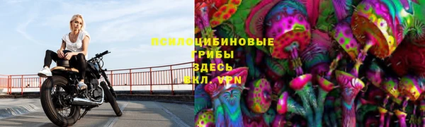 кокс Пестово