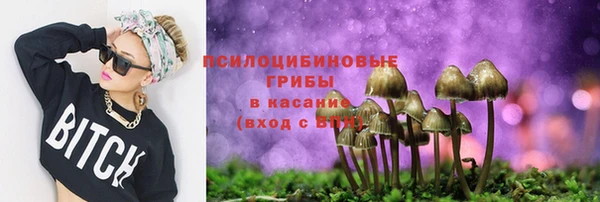 сатива Переславль-Залесский