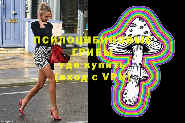 сатива Переславль-Залесский