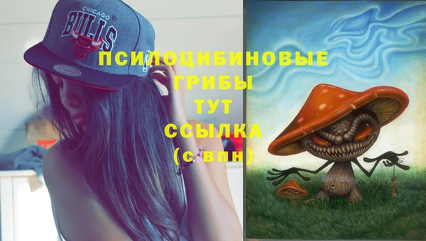 первитин Пересвет