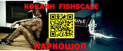 крисы Абакан