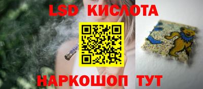 крисы Абакан