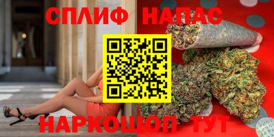 крисы Абакан