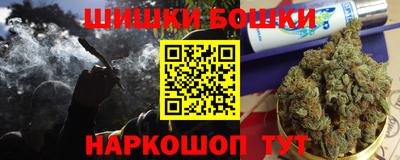 крисы Абакан