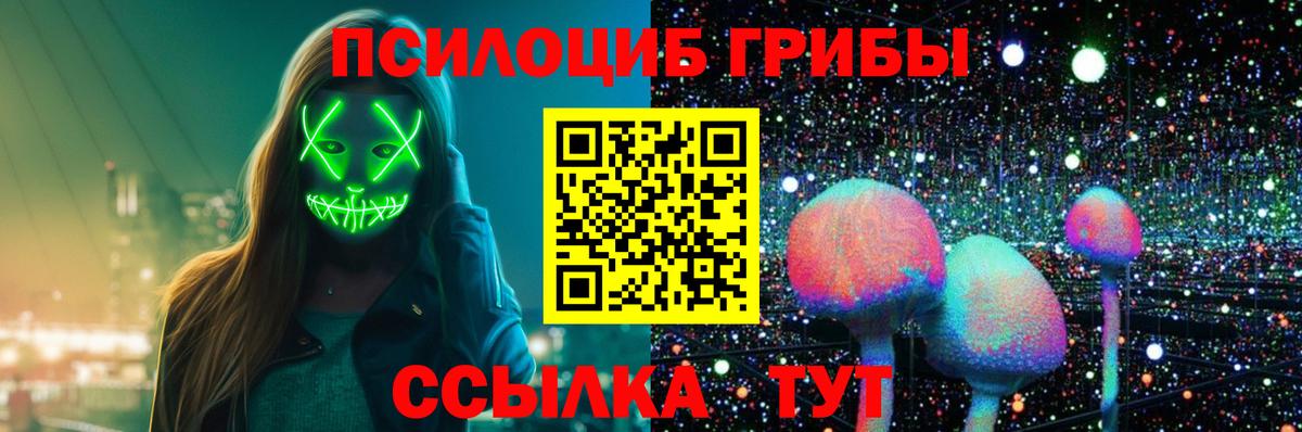 где продают   Азнакаево  Псилоцибиновые грибы Psilocybine cubensis 