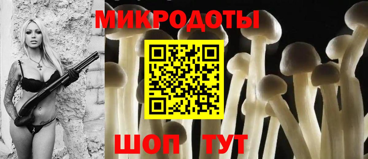 Азнакаево  продажа наркотиков  Галлюциногенные грибы мухоморы  Вход с VPN  Псилоцибиновые грибы Magic Shrooms 