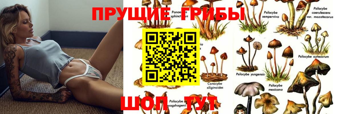 Псилоцибиновые грибы MAGIC MUSHROOMS  Вход с VPN  Азнакаево  Галлюциногенные грибы мухоморы 