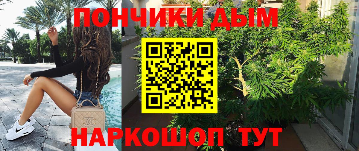 Шишки марихуана планчик Азнакаево